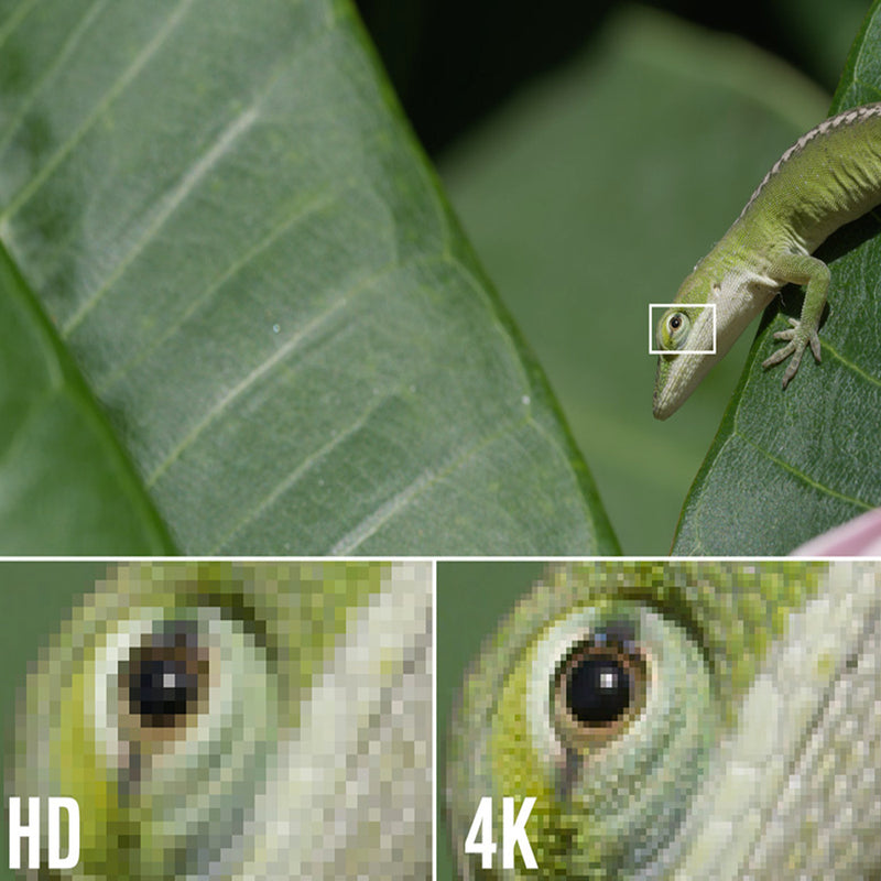Load image into Gallery viewer, 4XEM 50FT High Speed HDMI M/M Cable