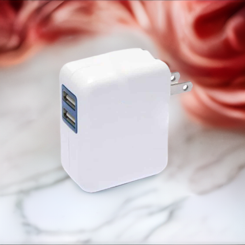 Load image into Gallery viewer, 4XEM Universal USB Power Adapter/Wall Charger for all USB devices 2port